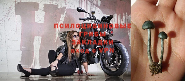 синтетический гашиш Белокуриха